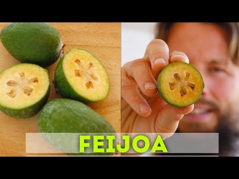 ᐉ How to know if a feijoa is ripe? - A Complete Beginner's Guide
