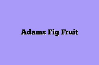 Adams Fig Fruit