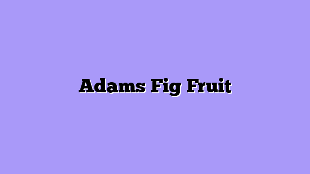 Adams Fig Fruit