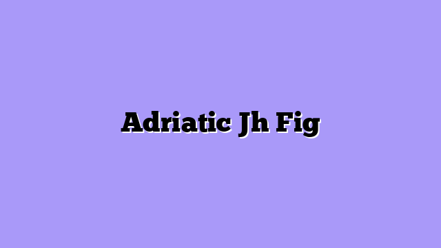 Adriatic Jh Fig