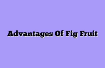 Advantages Of Fig Fruit