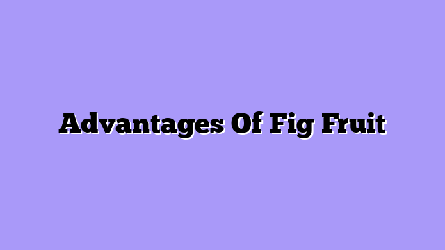 Advantages Of Fig Fruit