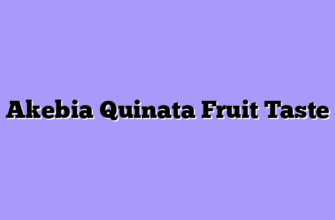 Akebia Quinata Fruit Taste