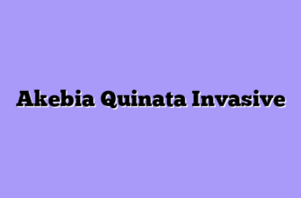 Akebia Quinata Invasive
