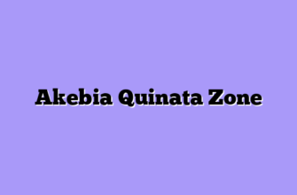 Akebia Quinata Zone