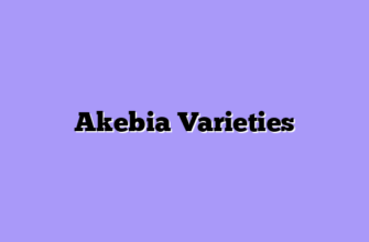 Akebia Varieties