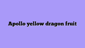 ᐉ Tropical Paradise: Tasting the Apollo Yellow Dragon Fruit