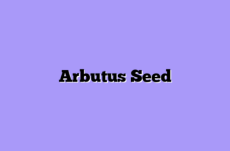 Arbutus Seed