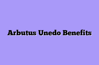 Arbutus Unedo Benefits
