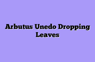 Arbutus Unedo Dropping Leaves
