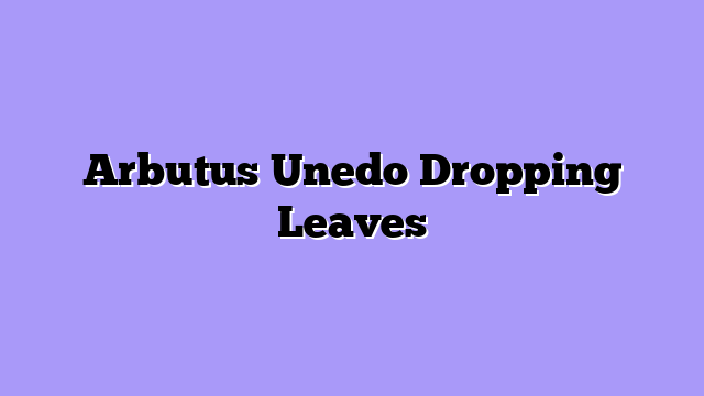 Arbutus Unedo Dropping Leaves