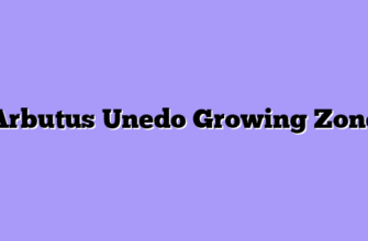 Arbutus Unedo Growing Zone