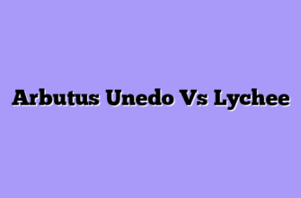 Arbutus Unedo Vs Lychee