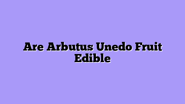 Are Arbutus Unedo Fruit Edible
