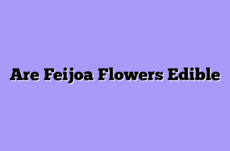 Are Feijoa Flowers Edible