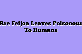 Are Feijoa Leaves Poisonous To Humans