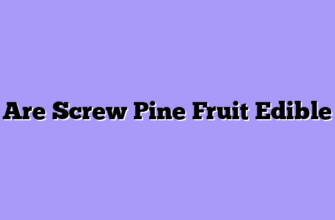 Are Screw Pine Fruit Edible