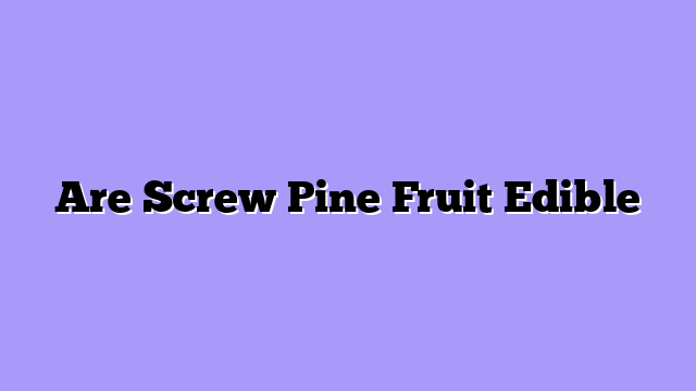 Are Screw Pine Fruit Edible