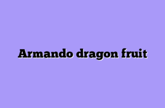 Armando dragon fruit