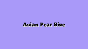 Asian Pear Size