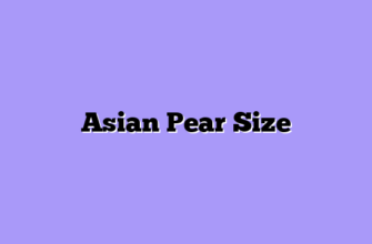 Asian Pear Size