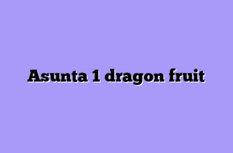 Asunta 1 dragon fruit
