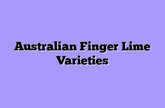 Australian Finger Lime Varieties