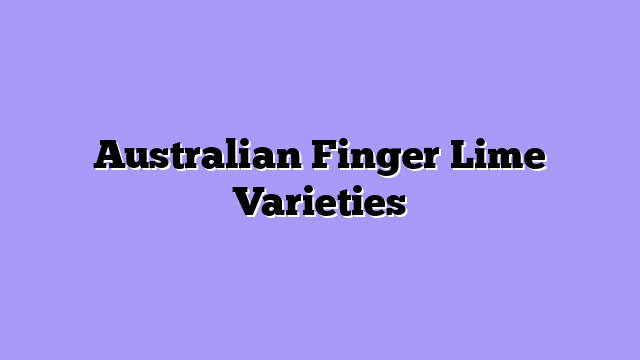 Australian Finger Lime Varieties
