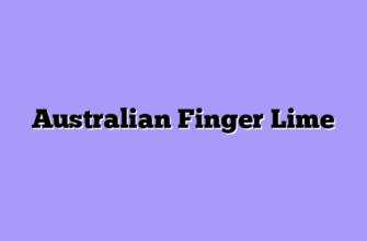 Australian Finger Lime