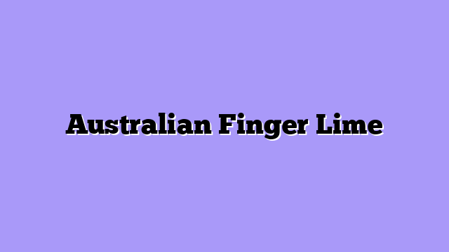 Australian Finger Lime