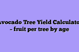 Avocado Tree Yield Calculator – fruit per tree by age