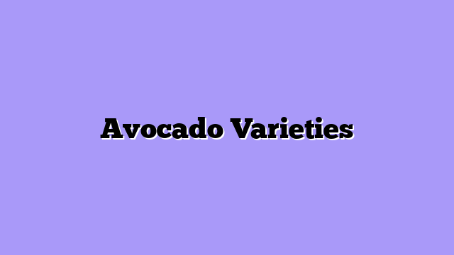 Avocado Varieties