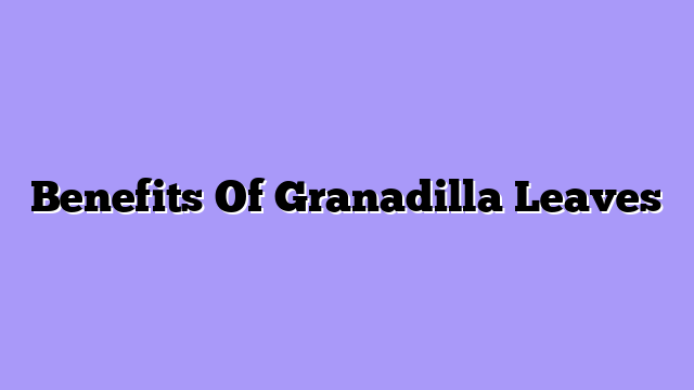 Benefits Of Granadilla Leaves
