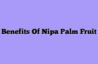 Benefits Of Nipa Palm Fruit