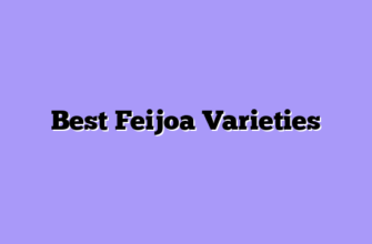 Best Feijoa Varieties