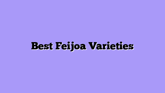 Best Feijoa Varieties