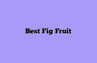 Best Fig Fruit