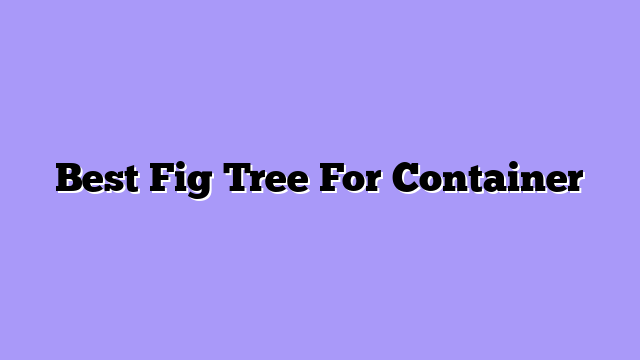 Best Fig Tree For Container
