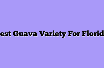 Best Guava Variety For Florida