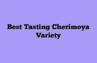 Best Tasting Cherimoya Variety