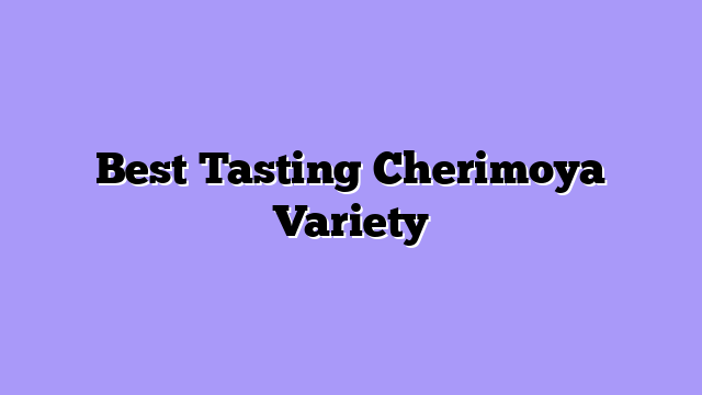 Best Tasting Cherimoya Variety