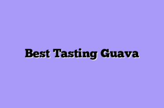 Best Tasting Guava