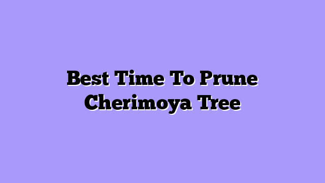 Best Time To Prune Cherimoya Tree