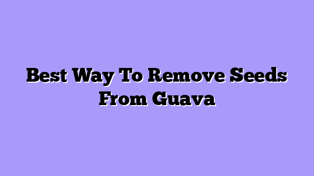 Best Way To Remove Seeds From Guava