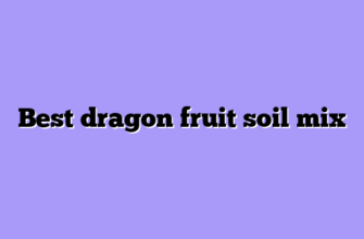 Best dragon fruit soil mix