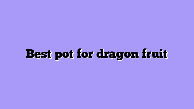 Best pot for dragon fruit