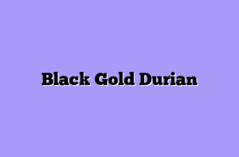 Black Gold Durian