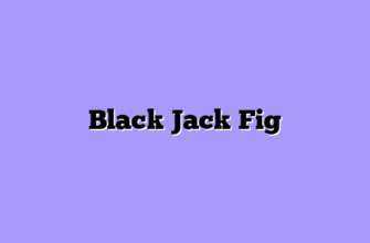 Black Jack Fig