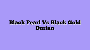 Black Pearl Vs Black Gold Durian