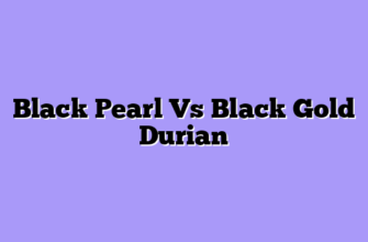 Black Pearl Vs Black Gold Durian